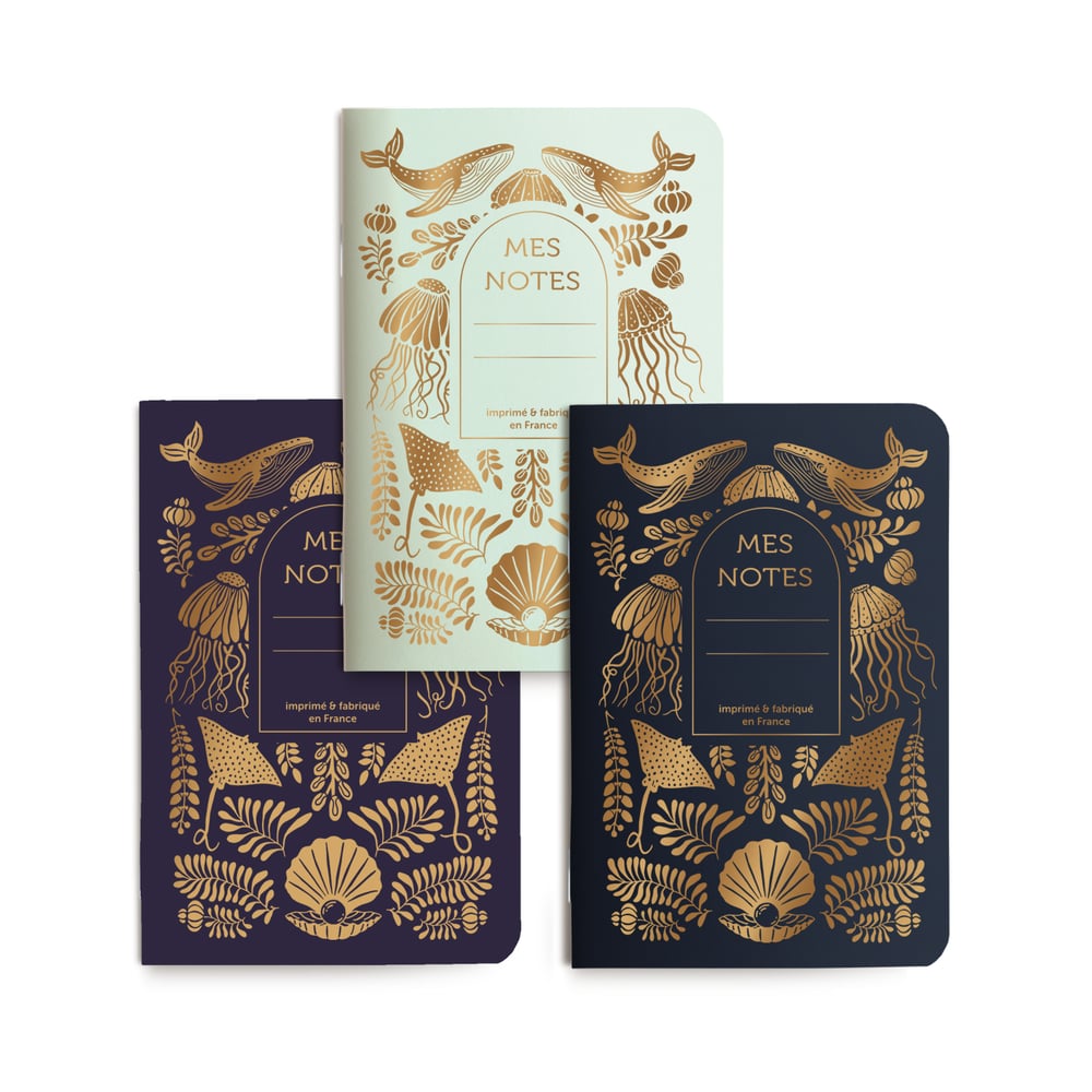 Trio petits carnets Abysses
