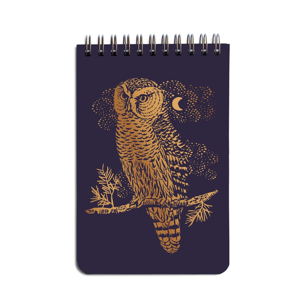 Petit bloc Hibou violet