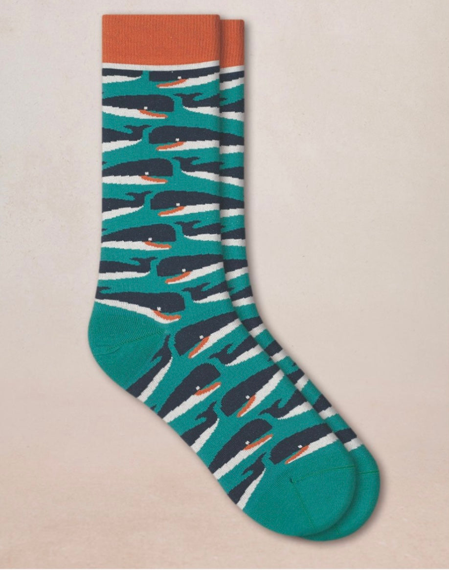 Chaussettes Cachalots Malachite T43/46