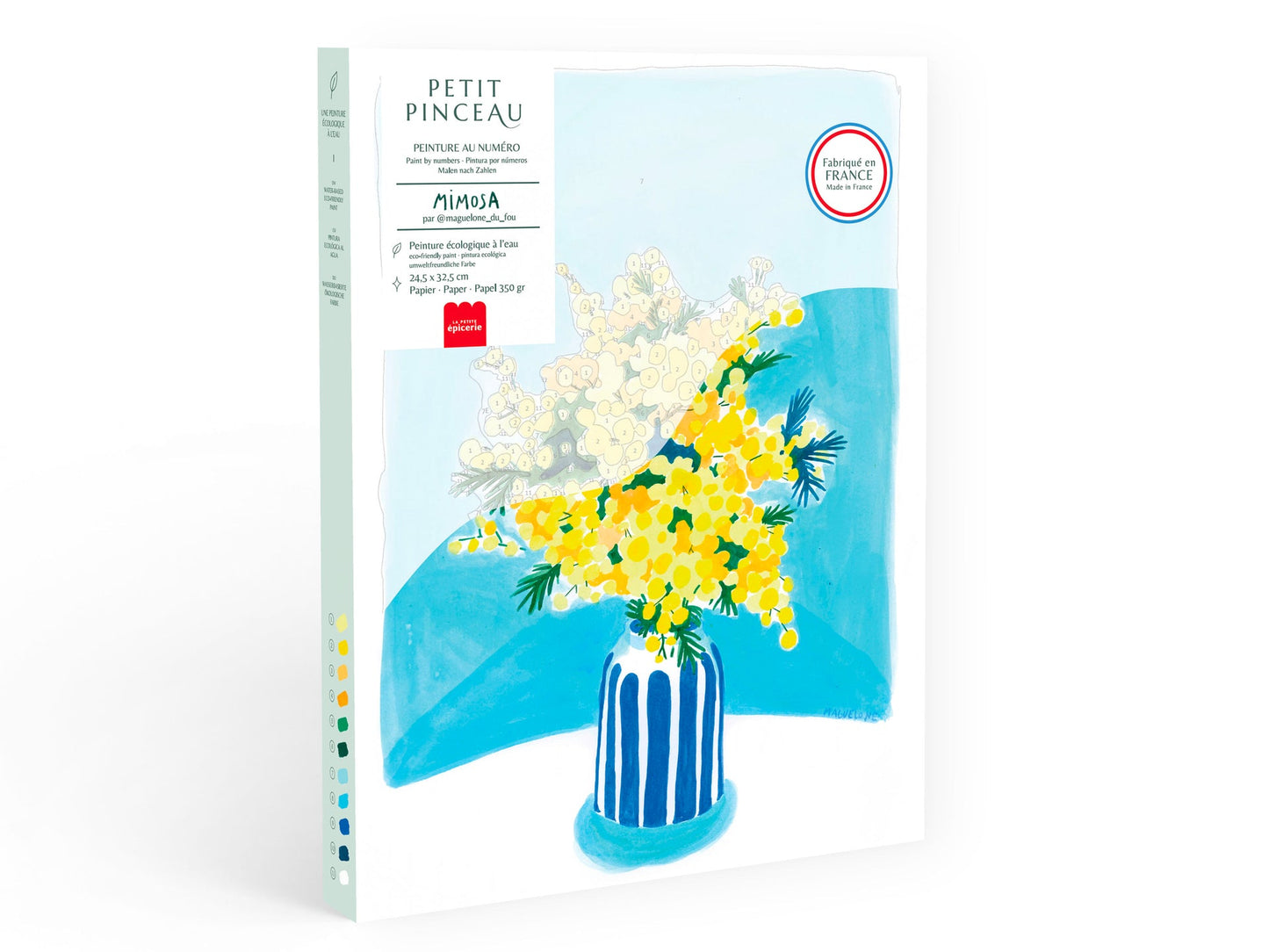 Kit de peinture Mimosa