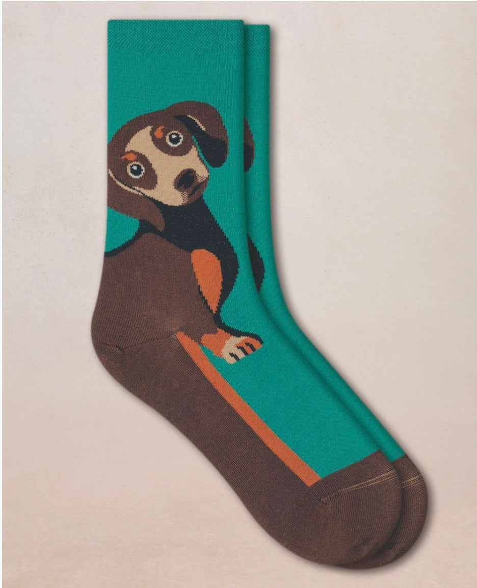 Chaussettes Teckel Malachite T36/40