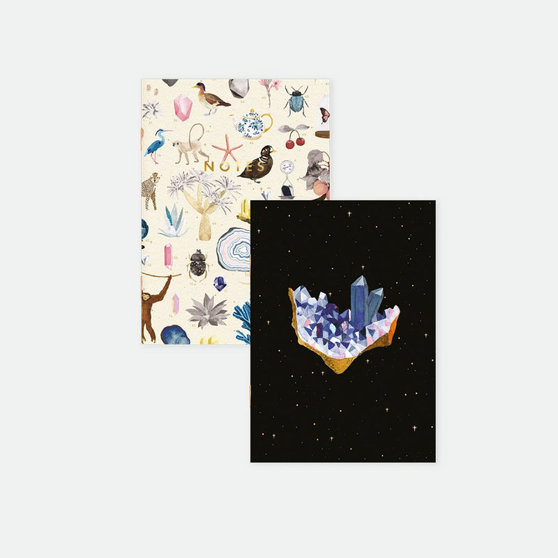 Duo carnets Curiosity