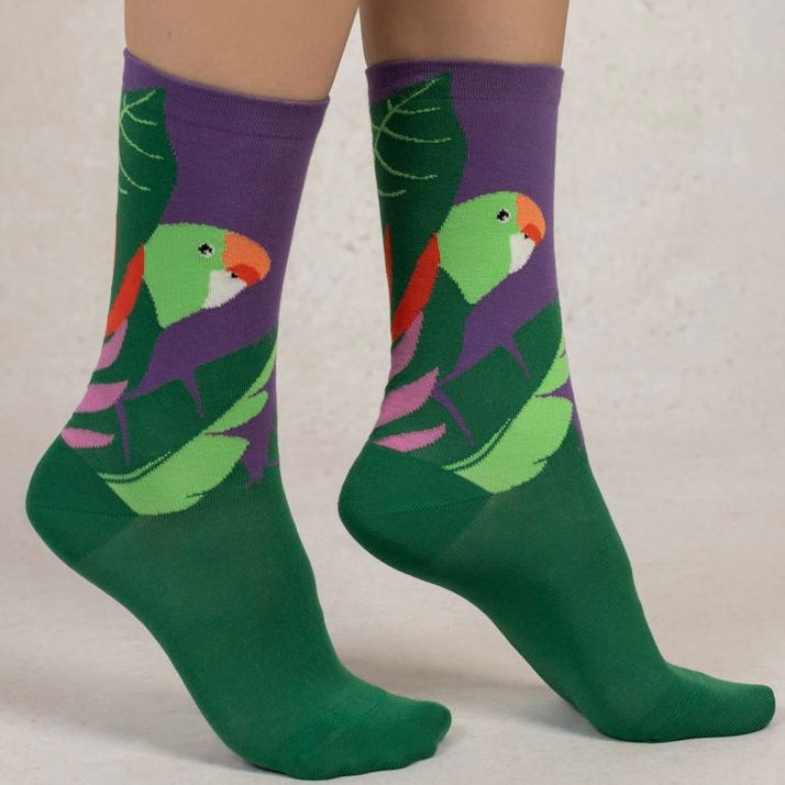 Chaussettes Coton Perruche Vert Sapin T36/40