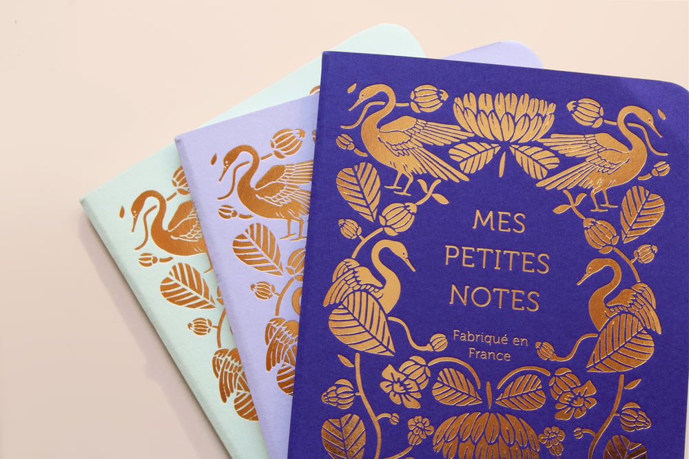 Trio petits carnets Cygnes