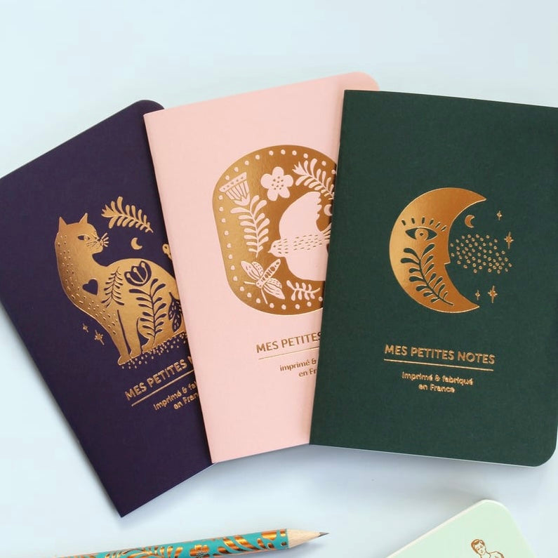 Trio petits carnets Rêveries