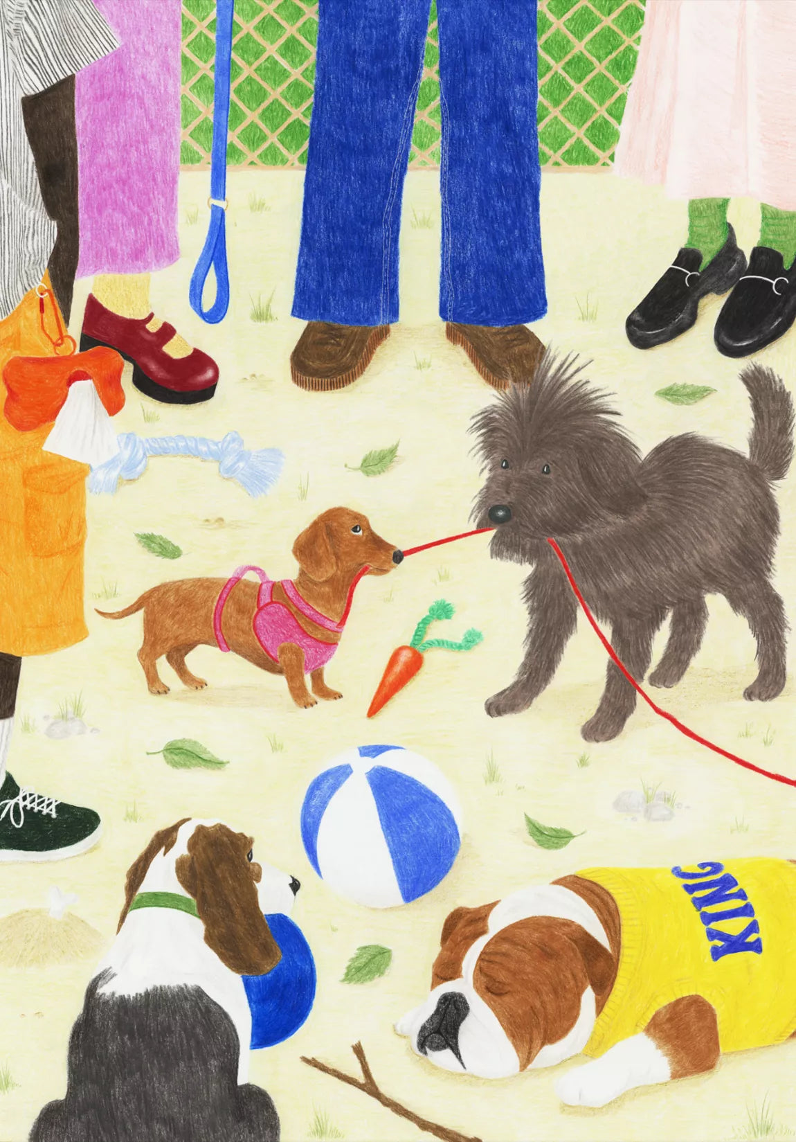 Puzzle Sortir le chien