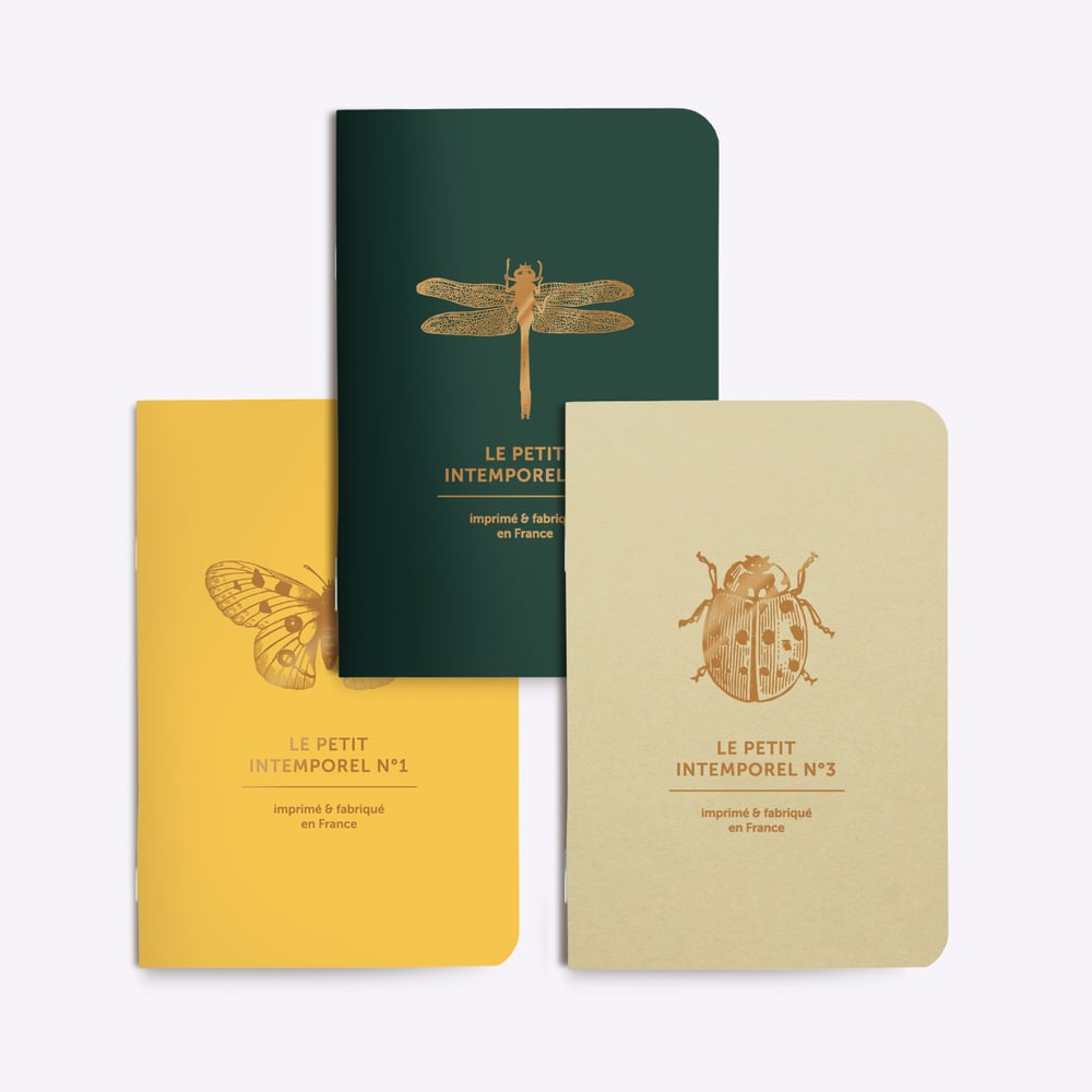 Trio petits carnets Papillons et cie