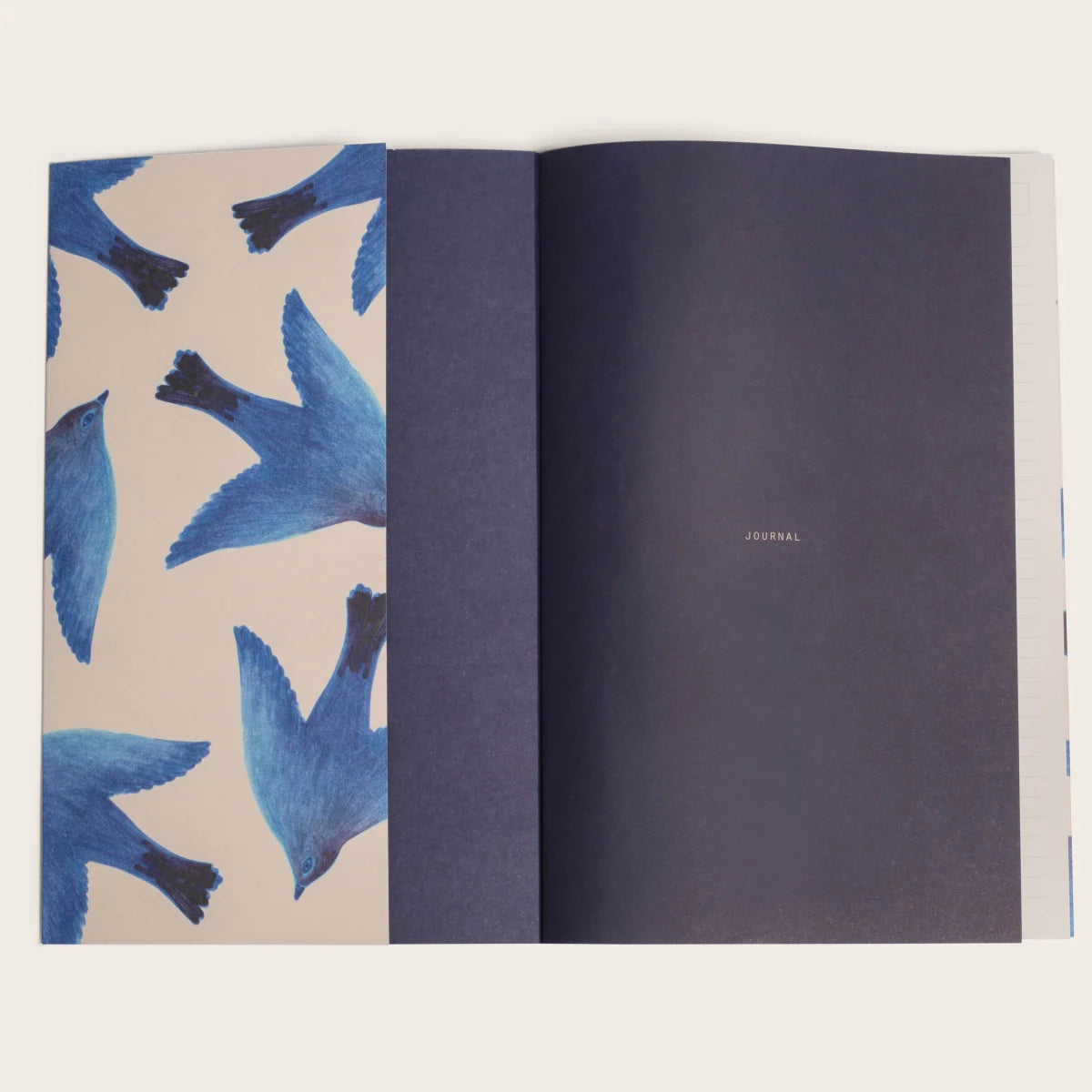 Journal L’oiseau