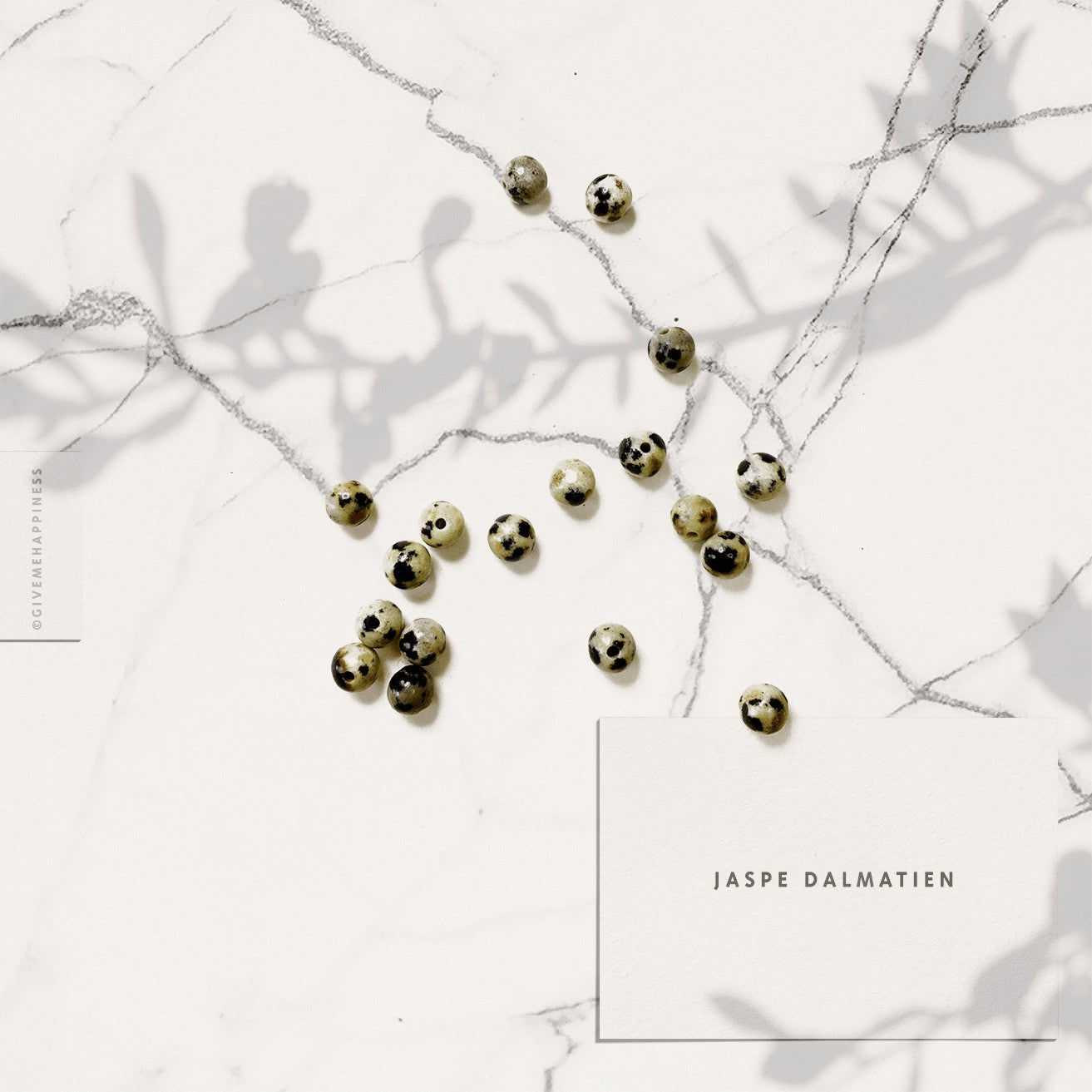 Bracelet Jaspe Dalmatien - Do you speak français ?