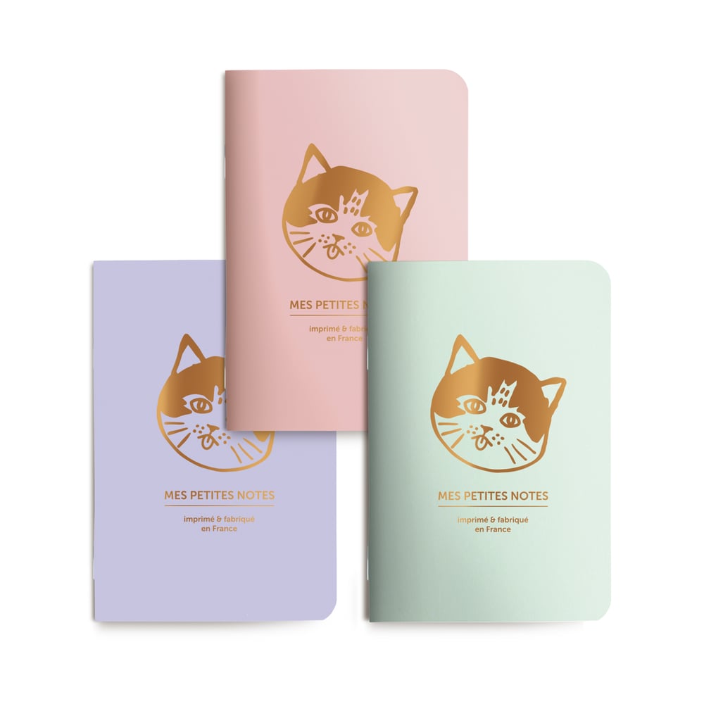 Trio petits carnets Petit chat