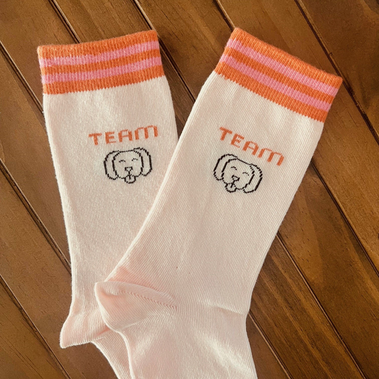 Chaussettes Team dog T36-41