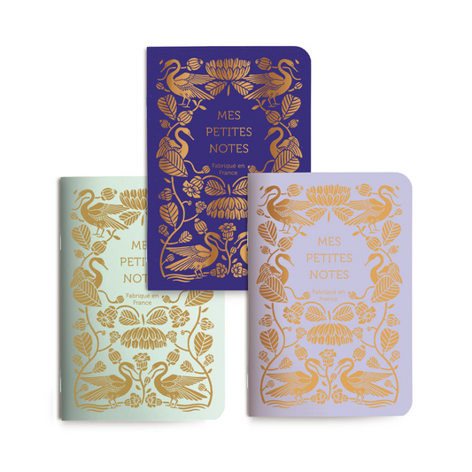 Trio petits carnets Cygnes