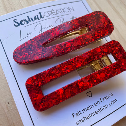 Duo de barrettes modèle N°1