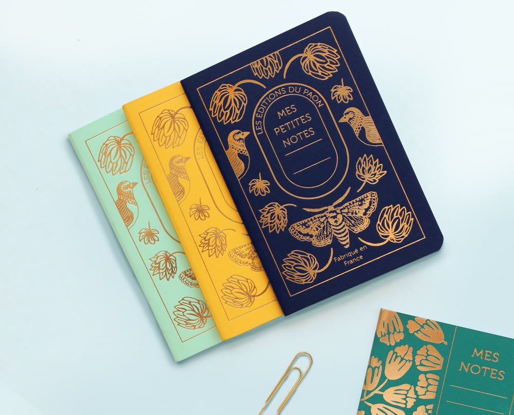 Trio petits carnets Jardin secret
