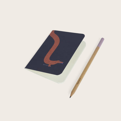 Carnet de poche Acrobatic