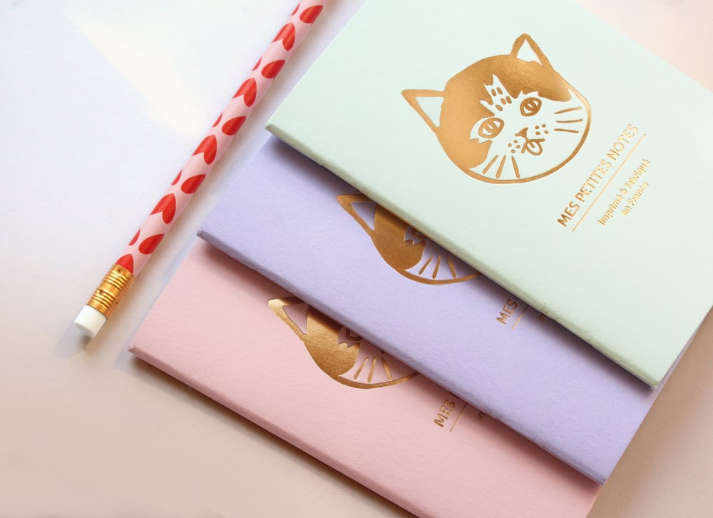Trio petits carnets Petit chat