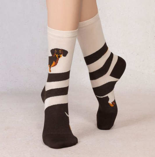 Chaussettes Teckel brun T36/40