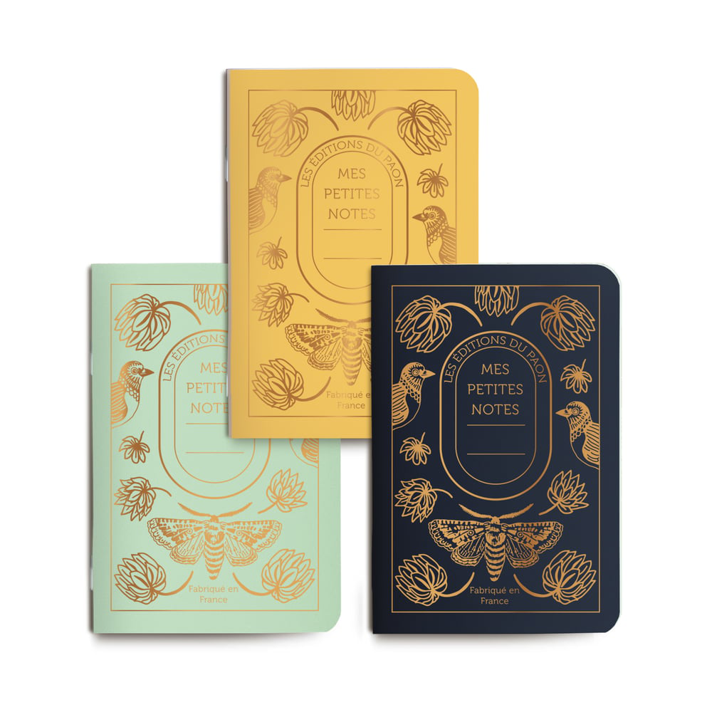 Trio petits carnets Jardin secret