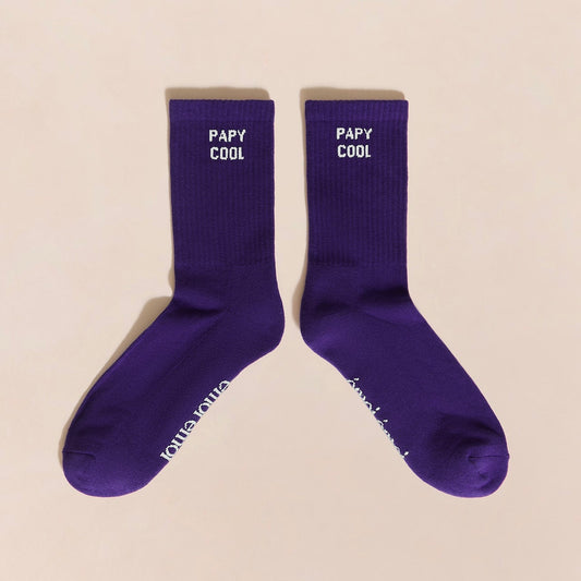 Chaussettes Papy cool T42-46