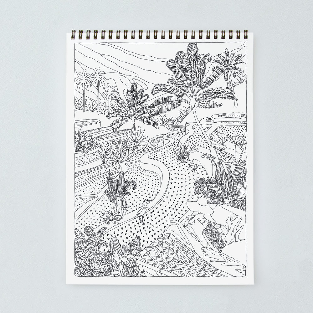 Carnet de coloriage Cactus and plants