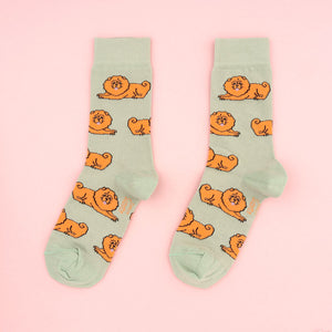 Chaussettes Chow chow T35-44