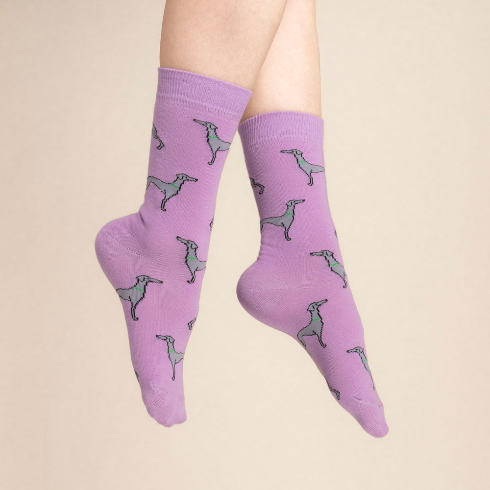 Chaussettes Lévrier T35-44