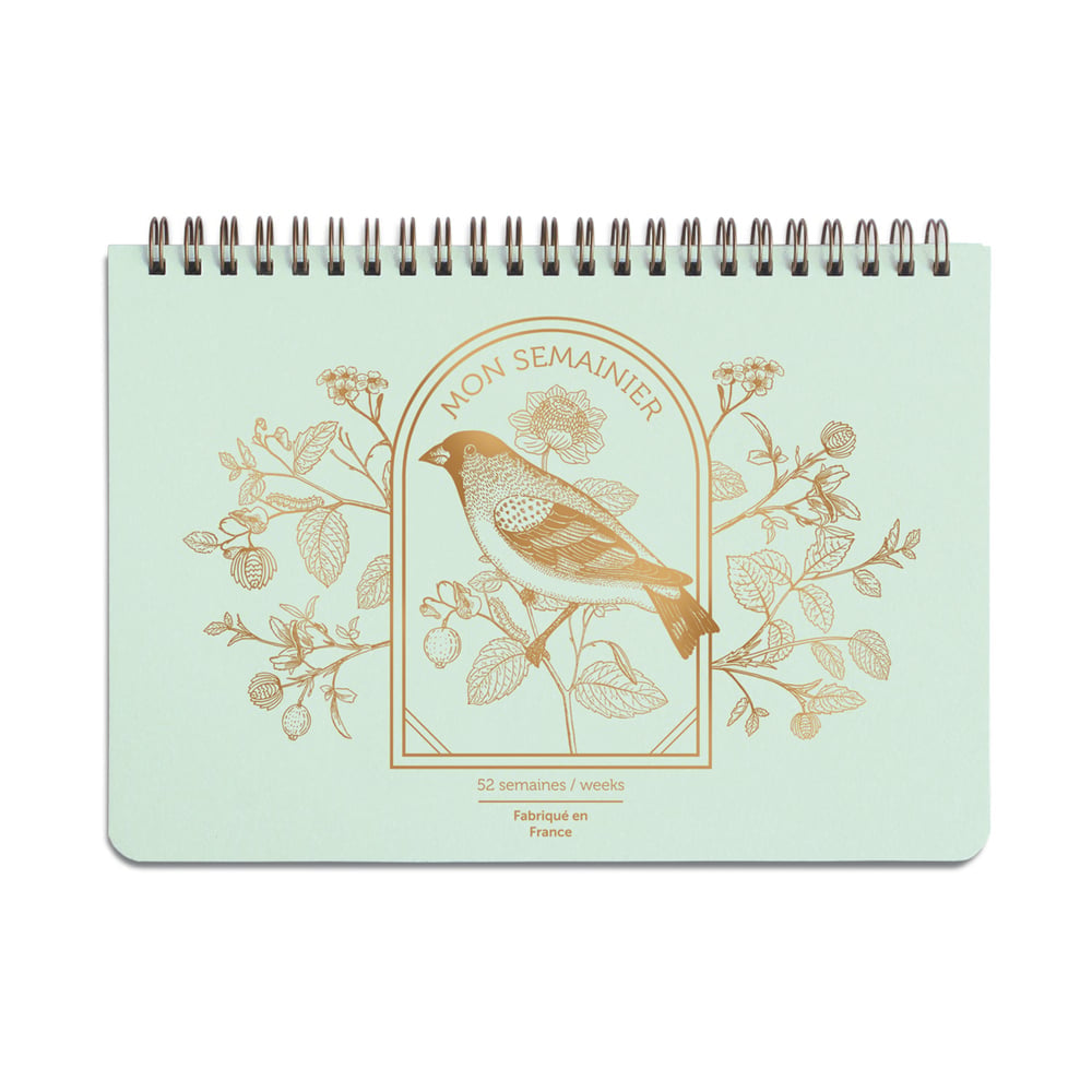 Semainier Moineau vert d’eau