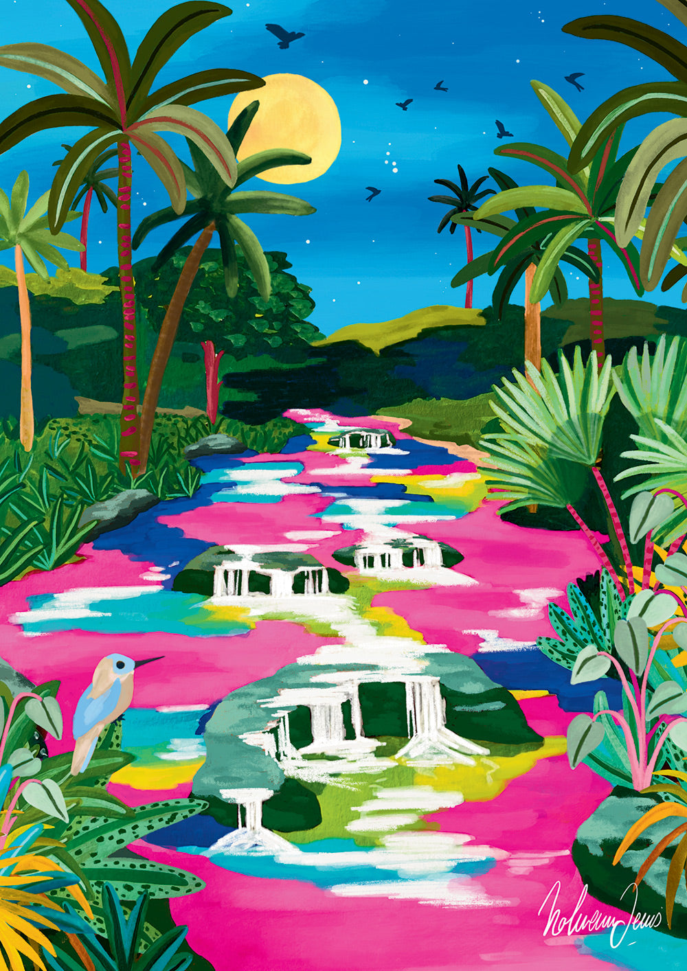 Puzzle Caño Cristales 500 pièces