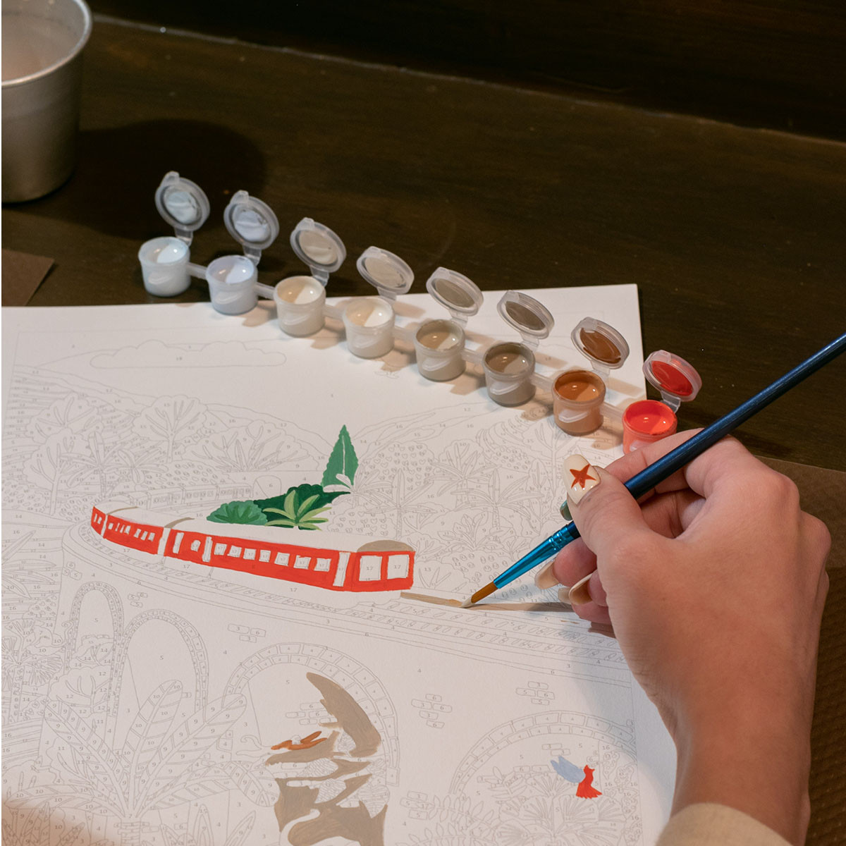 Kit de peinture Sri Lanka train