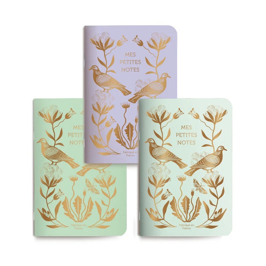 Trio petits carnets Coton