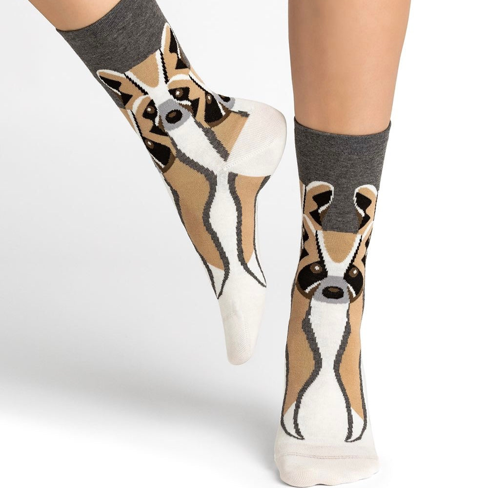 Chaussettes Ratons laveurs T36/40