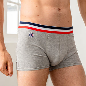 Boxer gris chiné - Do you speak français ?
