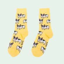 Charger l&#39;image dans la galerie, Chaussettes Bouledogue T35-44 - Do you speak français ?
