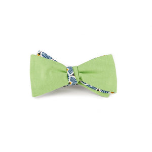 Noeud Papillon éventails bleu / vert pistache