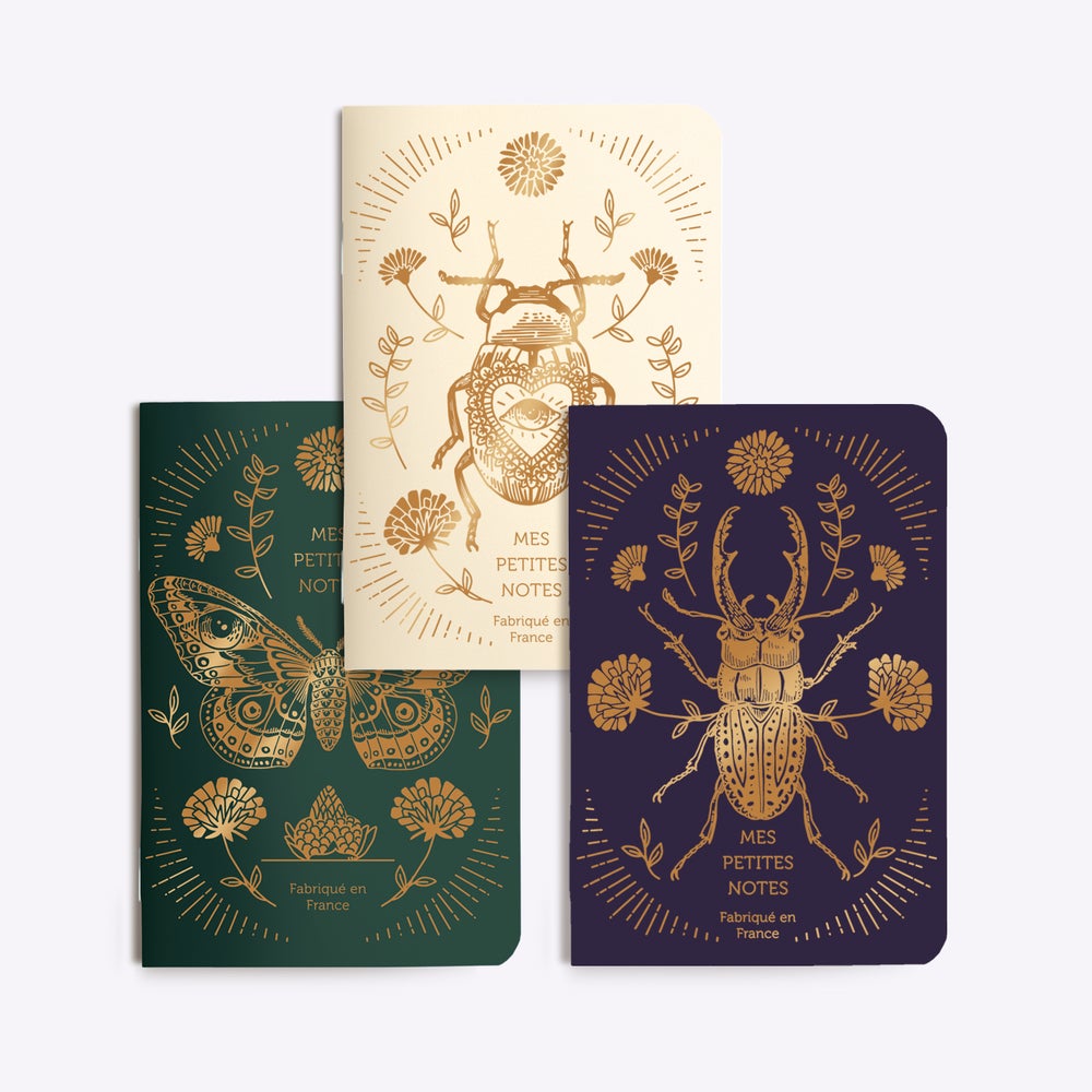 Trio petits carnets Scarabée
