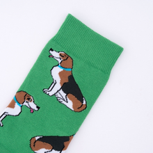 Charger l&#39;image dans la galerie, Chaussettes Beagle T35-44
