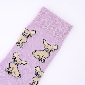 Chaussettes Chihuahua T35-44